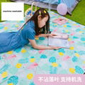 Picnic mat   crawling mat tent mat   outdoor folding waterproof picnic mat