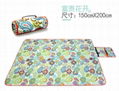 Picnic mat   crawling mat tent mat   outdoor folding waterproof picnic mat