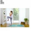 Fashionable Eco friendly type yoga mat pad OUTDOOR MAT 9