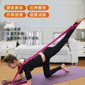 Band Hanging Training Yoga Stretch Strap Buckle Belts 20