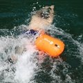浮囊游泳浮標充氣式救生包加厚潛水游泳包 1