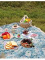 Outdoor Blanket Picnic Mat Spring Lawn Mat Picnic Table Cloth American Printed  8