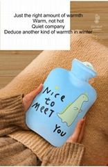 Winter Thickened Water Hot Water Bag Cartoon Creative Student Warm Hand 