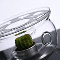 Glass Teapot with Warmer 4