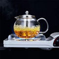 Ball Shaped Glass Teapot 3