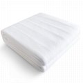 Double Polyester Electric Blanket 2