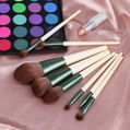 eco frienldy eyeshadow wood handle cosmetic make up powder foundation brushes se