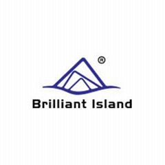 ZHEJIANG B.I. Industrial Co.,Ltd ZHEJIANG B.I. Industrial Co.,Ltd