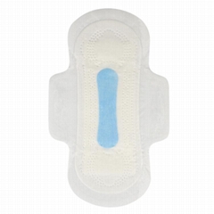 Eco-fiendly Biodegradable Sanitary Napkins Pads