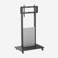 WH3787 55 Inch Interactive Display Mobile Cart Simple 1