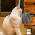 2021 Hot sale Pet Toy Cat Scratch Board Corrugated Lounge Cardboard 2