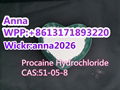 Procaine Hydrochloride CAS: 51-05-8