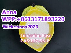 Linocaine Base CAS:137-58-6