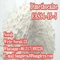sell high quality  Dimethocaine CAS