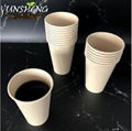 Compostable Disposable Paper Cup for Coffee with Lid 3