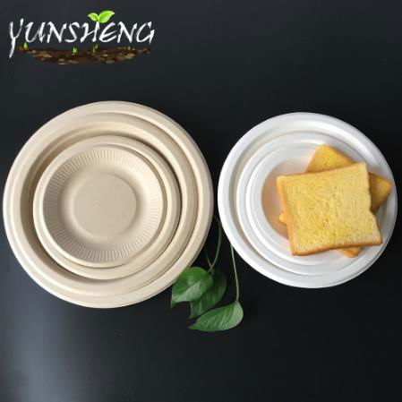 Disposable Sugarcane Bagasse Pulp Paper Round Plate 3