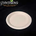 Disposable Sugarcane Bagasse Pulp Paper Round Plate 5