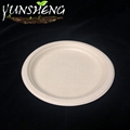 Disposable Sugarcane Bagasse Pulp Paper Round Plate 5