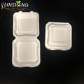 Disposable White Square Clamshell Paper