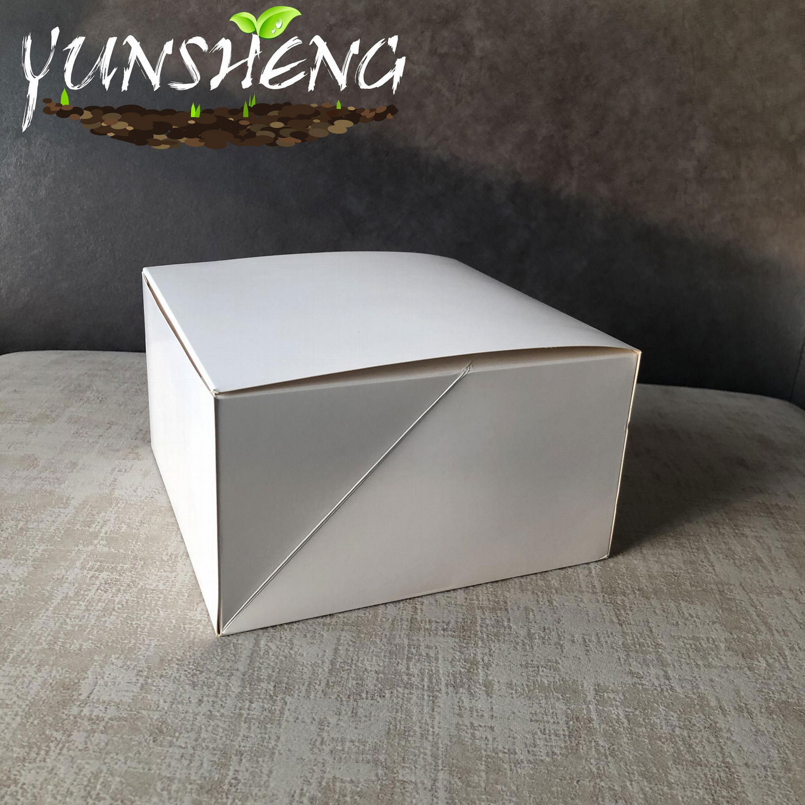 Disposable Customized Cardboard Paper Cupcake Boxes with 2/4 Inserts 4