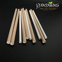 Biodegradable Wholesale Disposable Colorized Paper Straw for Drinking