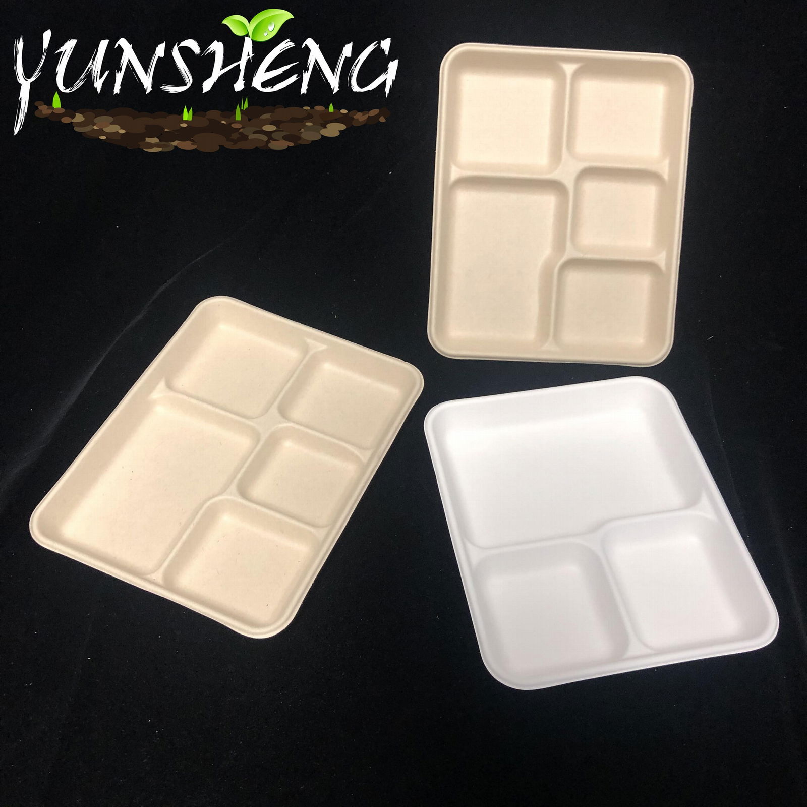 Compostable Sugarcane Bagasse Pulp Paper Trays for Party 2