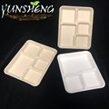 Compostable Sugarcane Bagasse Pulp Paper Trays for Party 2
