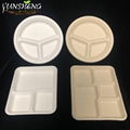 Compostable Sugarcane Bagasse Pulp Paper Trays for Party 1