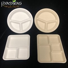 Compostable Sugarcane Bagasse Pulp Paper Trays for Party