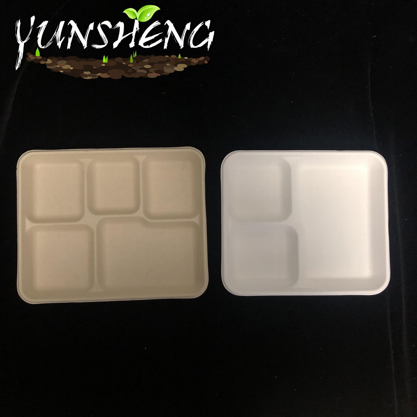 Compostable Sugarcane Bagasse Pulp Paper Trays for Party 5