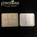 Compostable Sugarcane Bagasse Pulp Paper Trays for Party 5