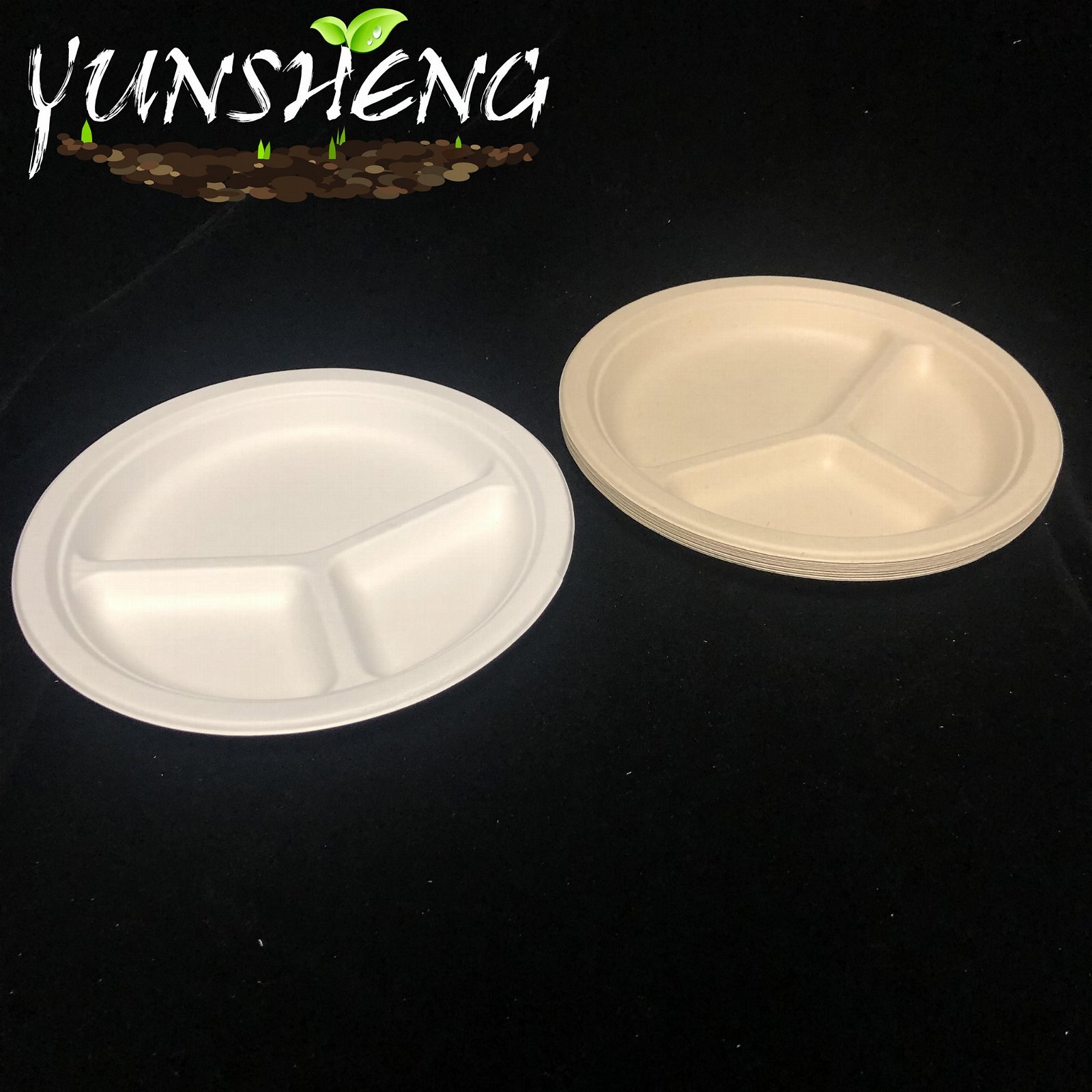 Compostable Sugarcane Bagasse Pulp Paper Trays for Party 4