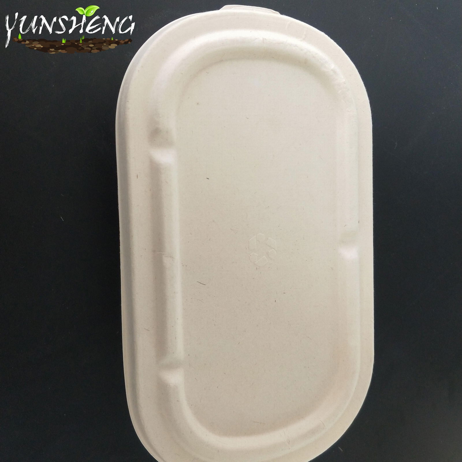 Disposable Durable Rectangle Wheat Straw Paper Box with Lids 5