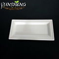Disposable Bagasse Pulp Compostable Durable Paper Square Plate for Fruit 2