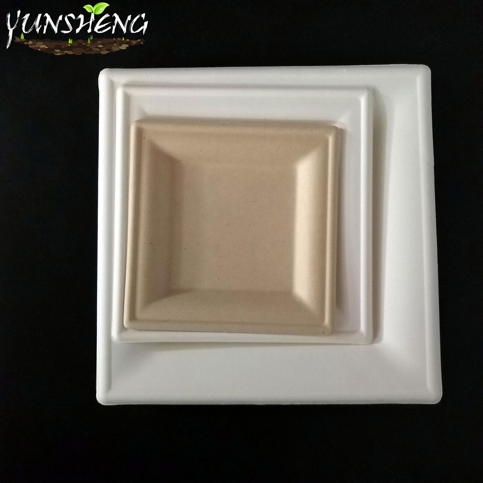 Disposable Bagasse Pulp Compostable Durable Paper Square Plate for Fruit 5