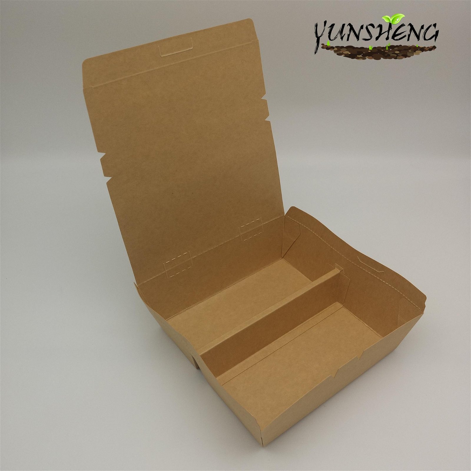 Customized Disposable Kraft Takeaway Food Box with Divider 5
