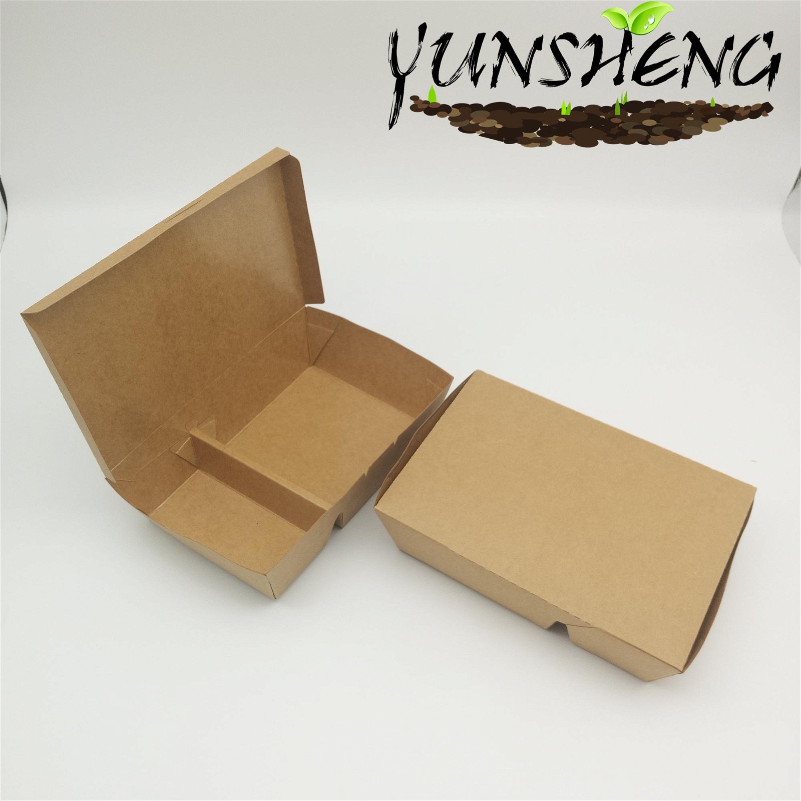 Customized Disposable Kraft Takeaway Food Box with Divider