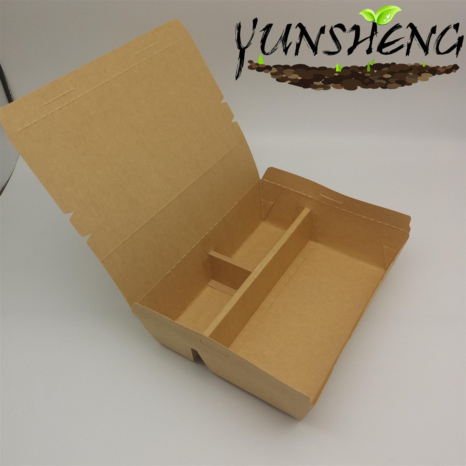 Customized Disposable Kraft Takeaway Food Box with Divider 3