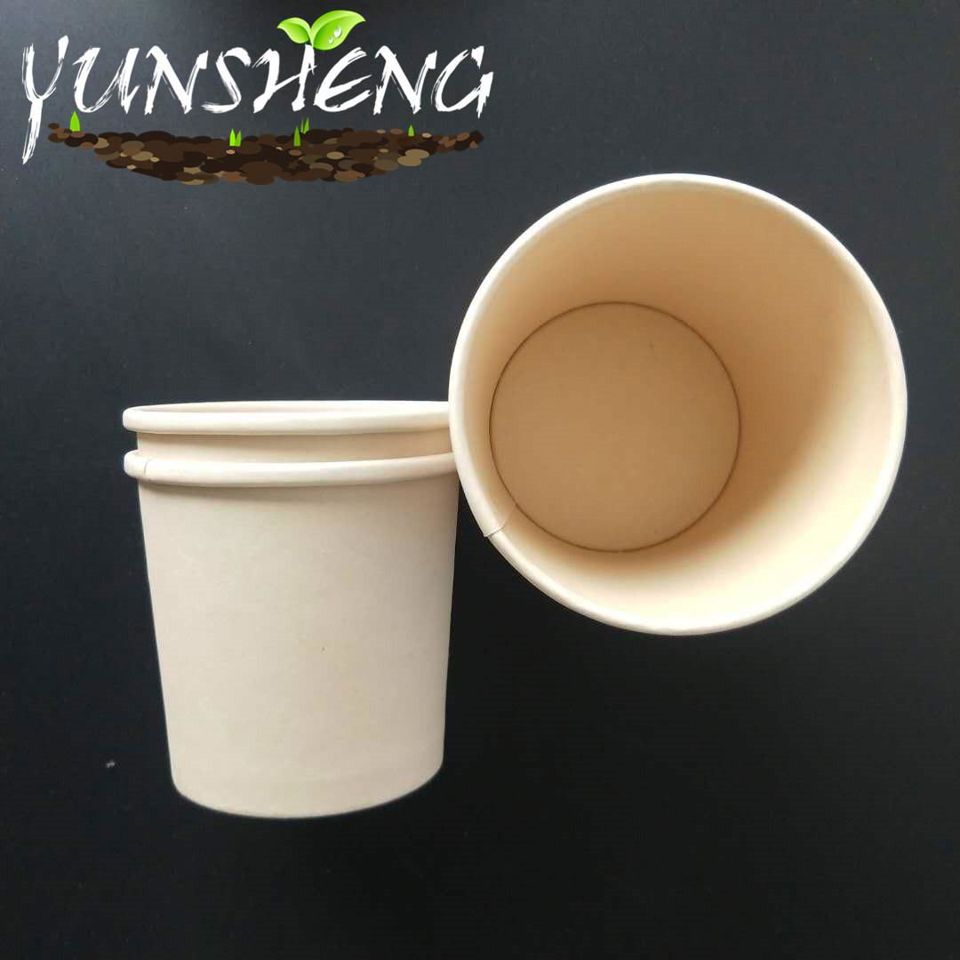 Customized Compostable Disposable Kraft Paper Beverage Cup 4