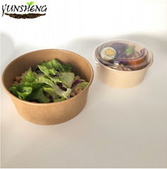 Disposable Compostable Paper Kraft Bowl for Soup