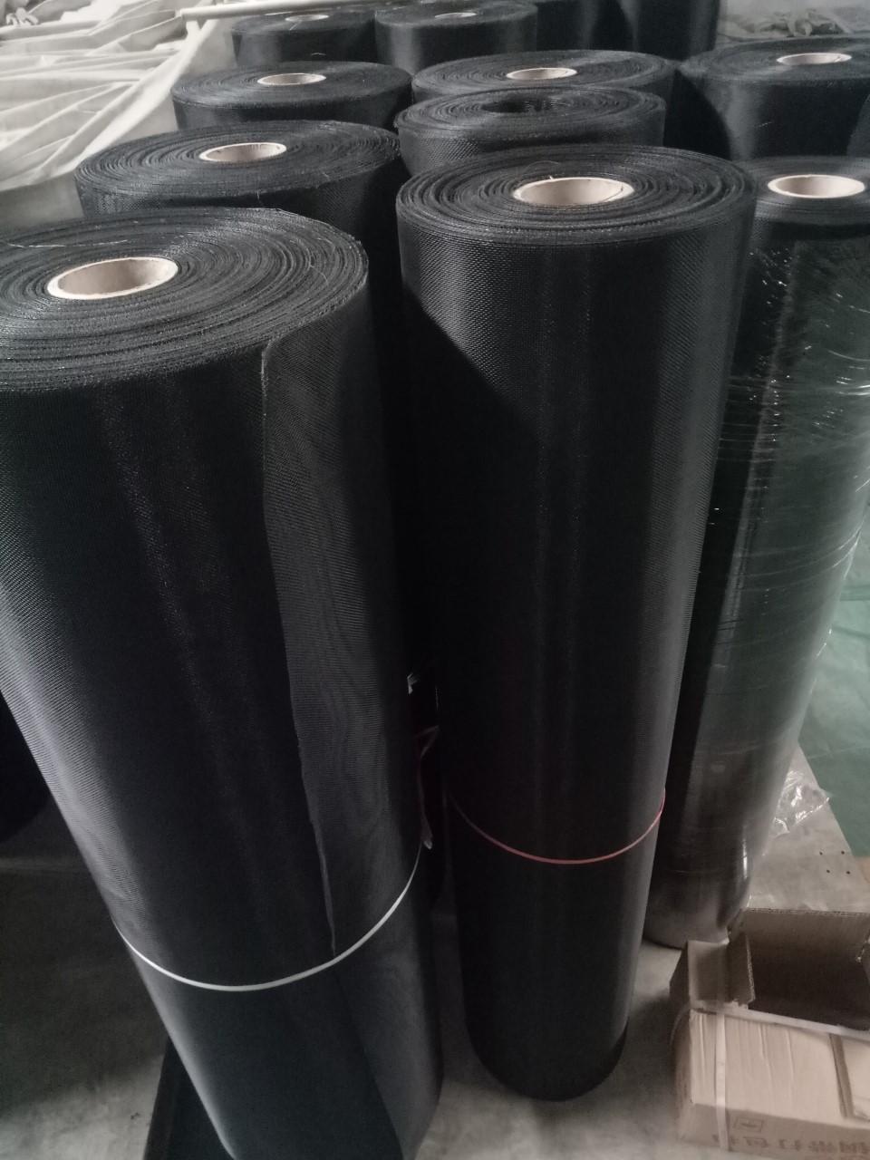 Black Coated Stainless Steel Wire Mesh 3