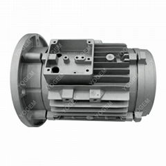 Aluminum Casting Motor Housing