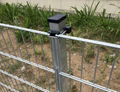 Double Wire Fence 1