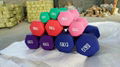 dip plastic dumbbell 