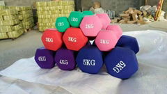 dip plastic dumbbell 