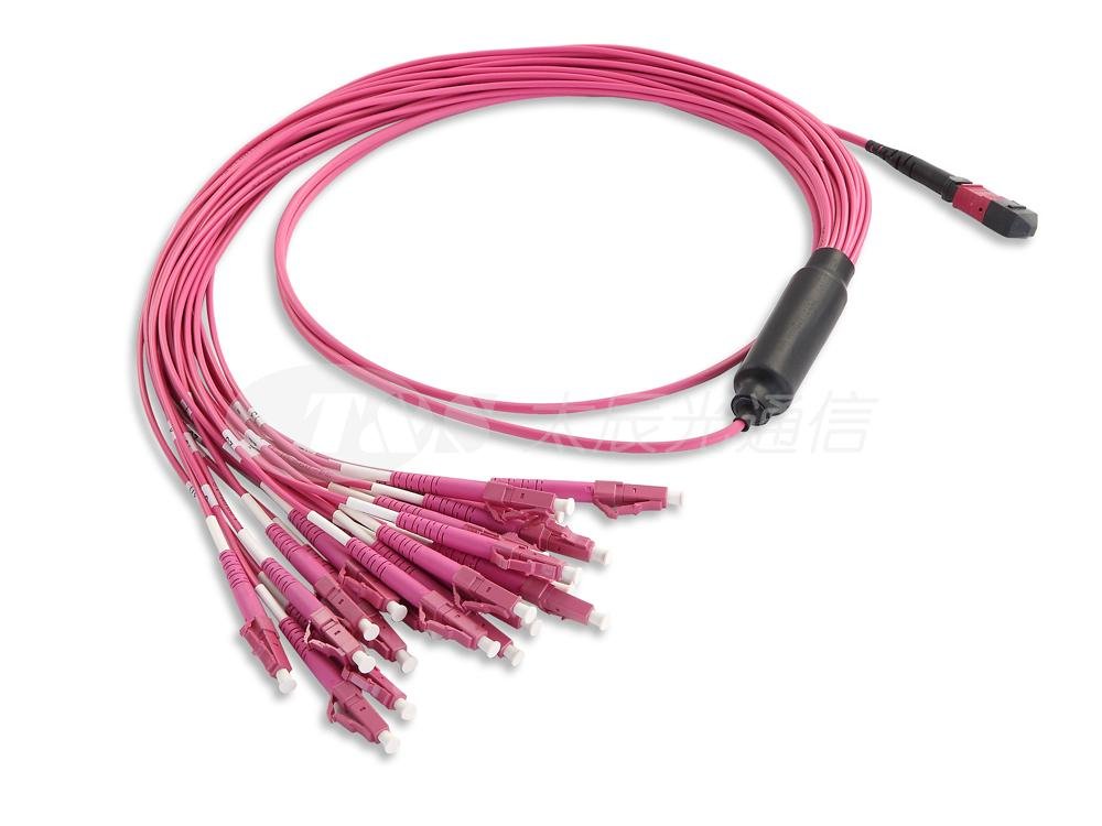 MTP/MPO HARNESS CABLE