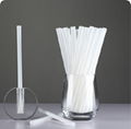 Biodegradable Straws 1