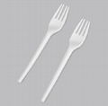 Biodegradable Cutlery 1