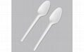 Corn Starch Cutlery 1