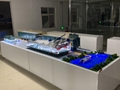 武汉高端智慧动态模型设计